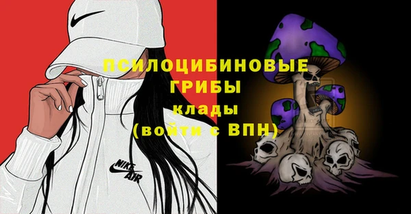 МДПВ Аркадак