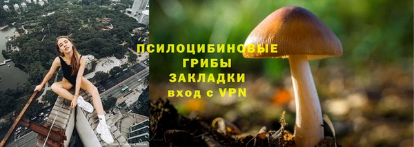 сатива Арсеньев