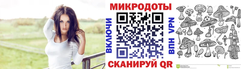 где найти   Макаров  shop формула  Псилоцибиновые грибы ЛСД 